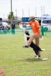 フリスビー競技を愛犬と一緒に体験できるアクティビティ開催！
