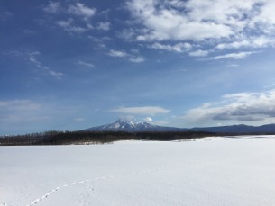 専門家ではなく、教養人ではなく、賢者となれ