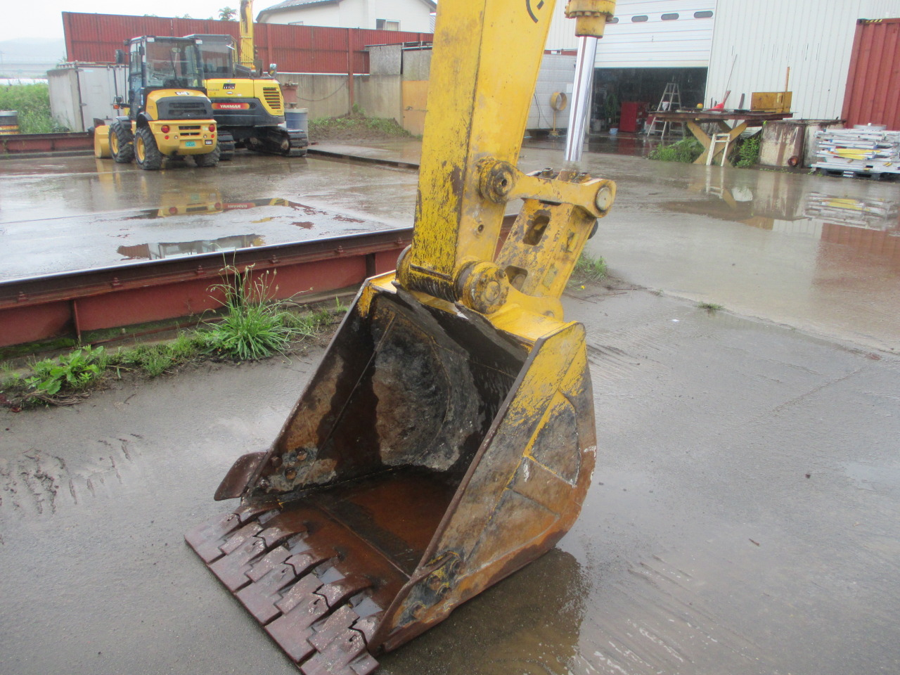 L-20250201-3187.JPG