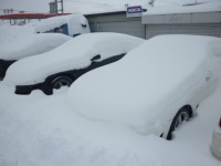 愚痴です。唖然・・・大雪・・・なんで日曜日に・・・