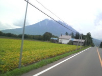 今日は搬送車で　不動車引き取り