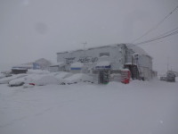 今日も雪　吹雪ですよ～