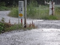 突然　ヒョウ飛来　被害が　(￣□￣;)ギョッ