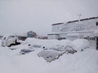 今年　初の大雪　続々　来店車が来てます　(^▽^;)