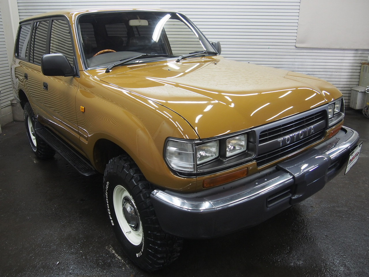 L-20190119-8529.JPG