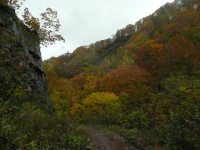 秋の紅葉秘湯への旅