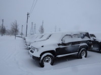 雪が本格的に降ってきました。