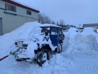 また雪が降った。