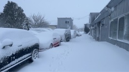3月20日 春分の日  プラスペイントワーク臨時休業させて頂きます♪