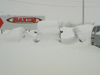 雪!要らないです!