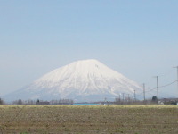 今日の洞爺!