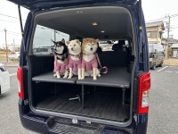 日産キャラバンを“ワンちゃんと快適に過ごせる一台”へ